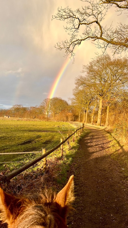 Weg unter einem Regenbogen als Sinnbild für Hoffnung in Zeiten von Trauer und Verlust