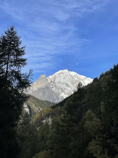 Professionelle Therapie bei Angststörungen, Panikattacken und Phobien in Malente